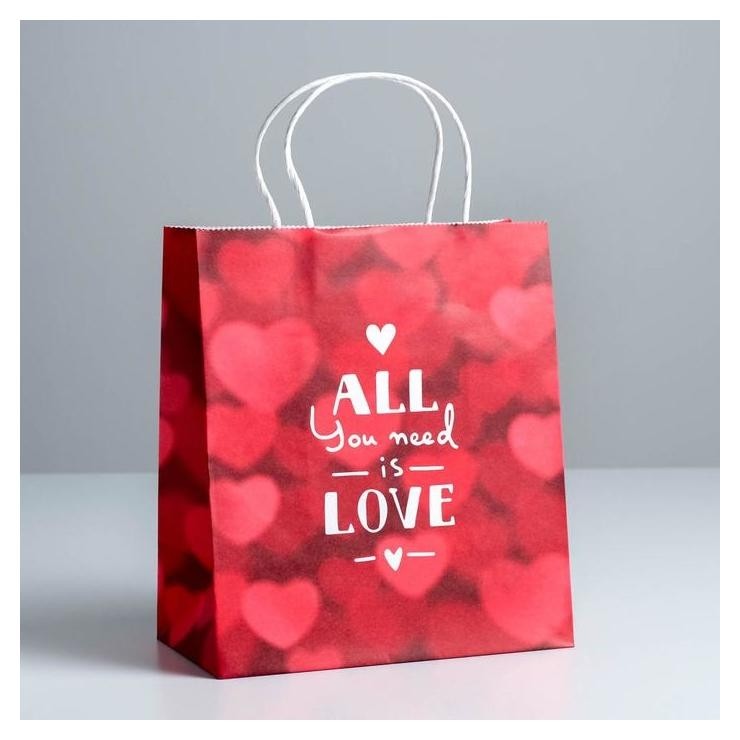 

Пакет подарочный крафт All You Need Is Love, 22 × 25 × 12 см, Красный