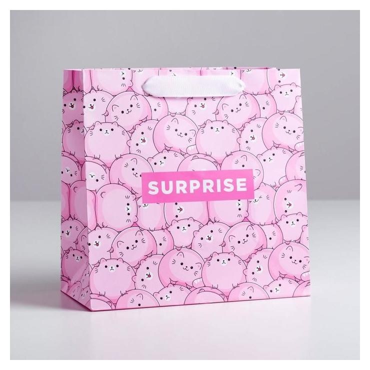 

Пакет ламинированный квадратный Surprise, 22 × 22 × 11 см, Розовый