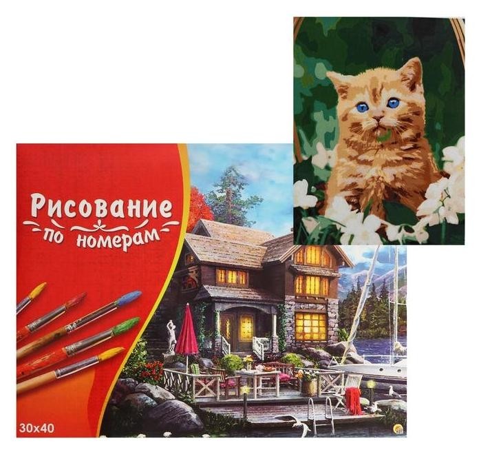 

Картина по номерам 30×40 см в коробке «Рыжий котёнок в корзине»