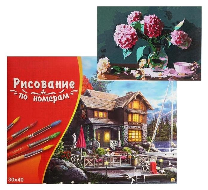 

Картина по номерам 30×40 см в коробке «Розовые гортензии»