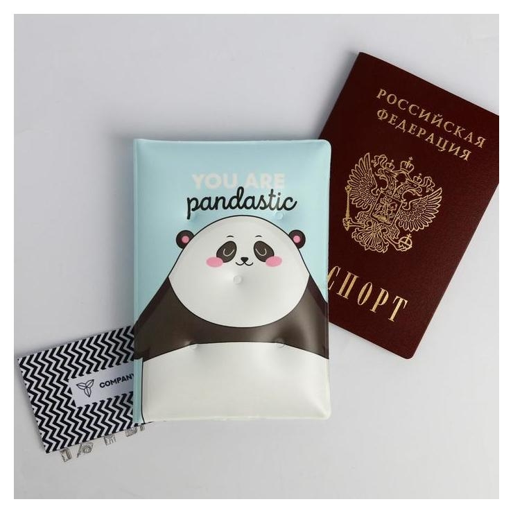 Воздушная паспортная обложка-облачко You are Pandastic