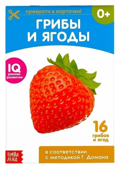 

Обучающие карточки Г. домана «Грибы и ягоды», на скрепке, 20 стр.