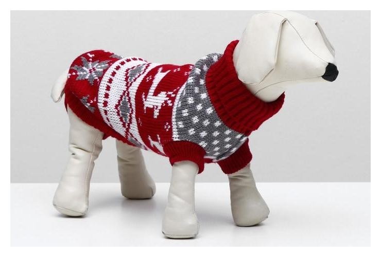 

Свитер, размер 12 (30-34 см), расцветок