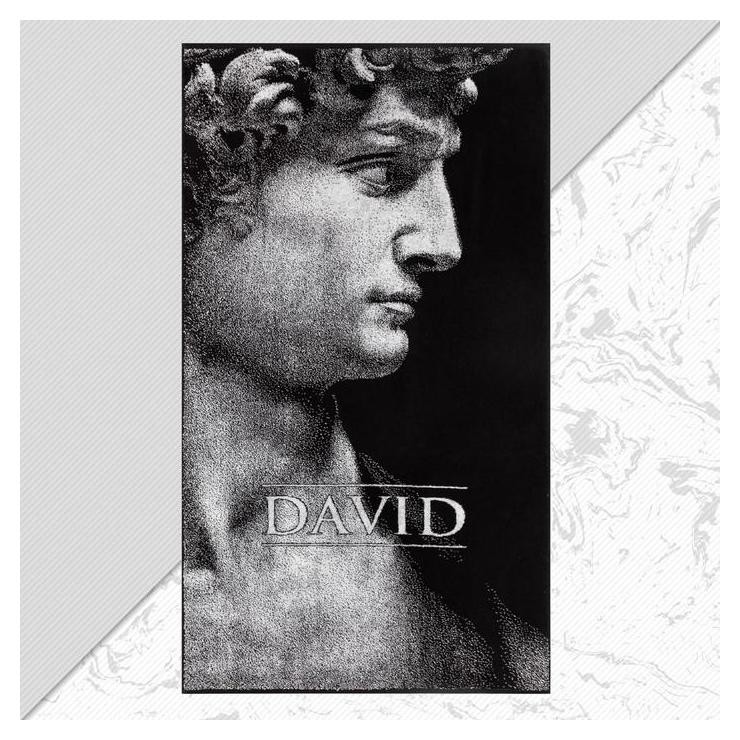 

Полотенце махровое этель "Давид" 70х130 см, 100% хл, 420 гр/м2