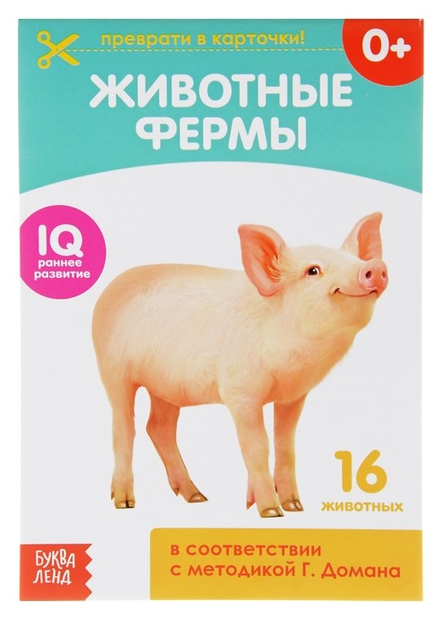 

Обучающая книжка по методике Г. домана «Животные фермы», 20 стр.