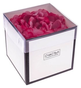 Коробка для цветов с PVC крышкой «Счастья в каждом мгновении», 12 х 12 х 12 см Дарите счастье