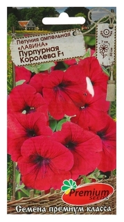 Семена цветов петуния ампельная "Лавина пурпурная королева" F1 Premium Seeds
