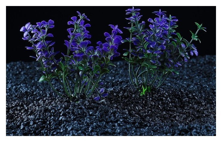 Набор растений искусственных для аквариума, фиолетовые лепестки (2 шт), 10 см