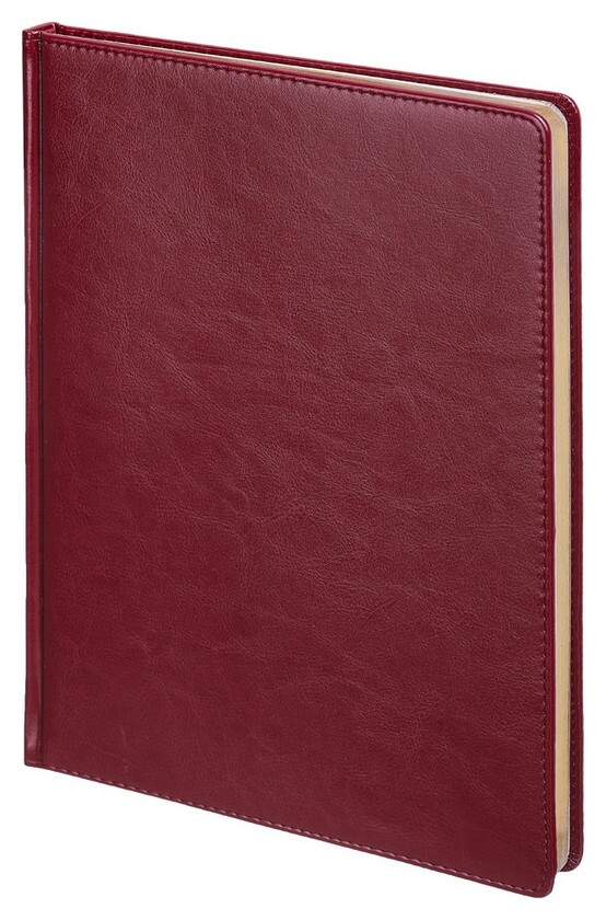Ежедневник недатированный бордо,а4,210х300мм,136л,sidney Nebraska 3-539/01  Альт