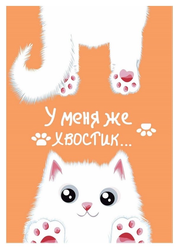

Блокнот а6(98х140мм),56л,клетка,скрепка,обл. с гелем хвостик белый 84236