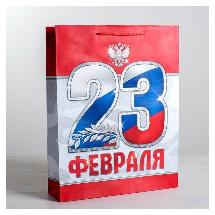 

Пакет ламинированный вертикальный «23 февраля!», S 12 × 15 × , см, Триколор