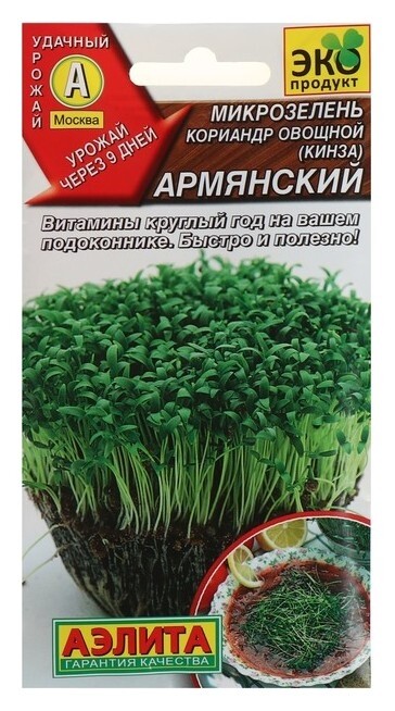 Семена микрозелень кинза, 5 г  Агрофирма Аэлита