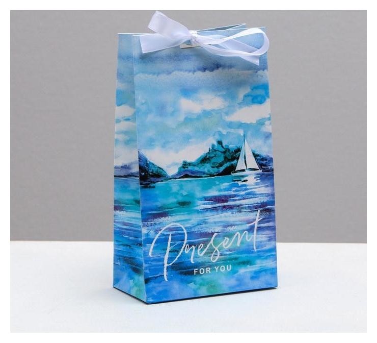 

Пакет подарочный с лентой Present For You, 13 × 23 × 7 см, Голубой