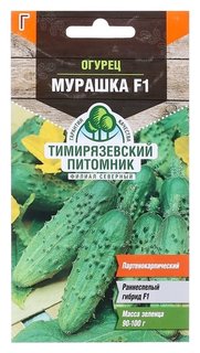 Семена огурец "Мурашка" F1, раннеспелый, партенокарпический, 10 шт Тимирязевский питомник
