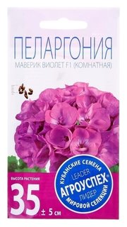 Семена комнатных цветов пеларгония маверик виолет, 4 шт Агроуспех