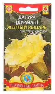 Семена цветов датура (Дурман) "Желтый рыцарь", О, 4 шт Плазмас