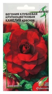 Семена цветов бегония крупноцвет "Камелия", красная, 10 шт Сортсемовощ