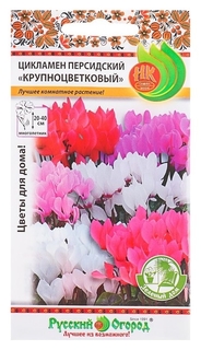 Семена комнатных цветов цикламен персидский крупноцветковый, 5 шт Русский огород