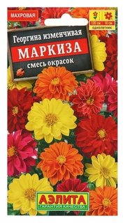 Семена цветов георгина махровая "Маркиза", смесь окрасок, О, 10 шт Агрофирма Аэлита
