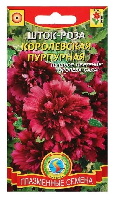 

Семена цветов шток-роза "Королевская пурпурная", О, 0,1 г, Красный