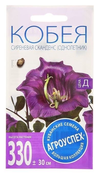 

Семена цветов кобея сканденс сиреневая, однолетник, 0.25 гр., Сиреневый