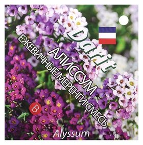 Семена цветов алиссум "Ежевичные меренги", О, Darit 0,2 г Агроуспех
