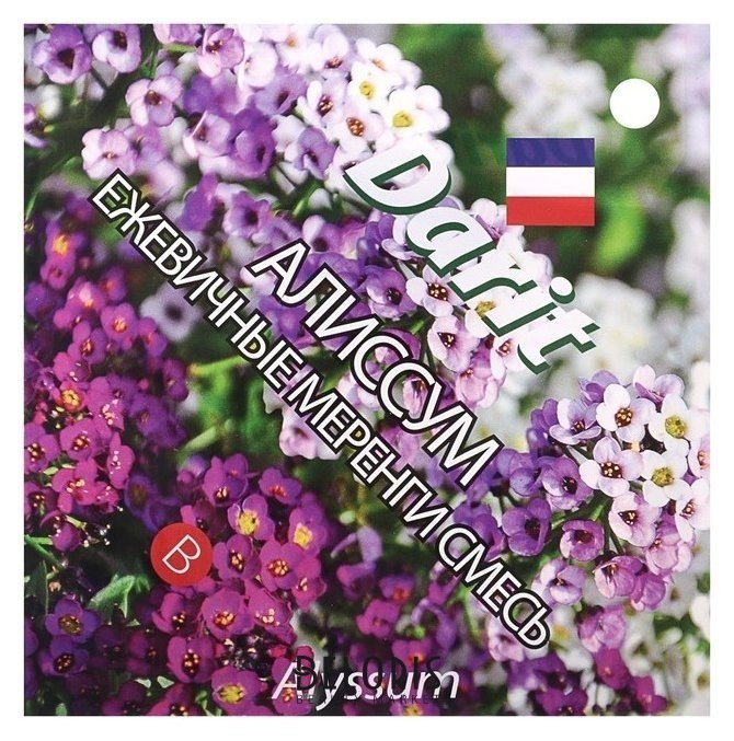 Семена цветов алиссум Ежевичные меренги, О, Darit 0,2 г Агроуспех
