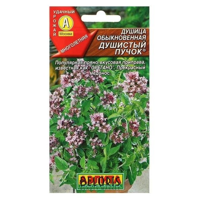 Душица обыкновенная Origanum vulgare сырье