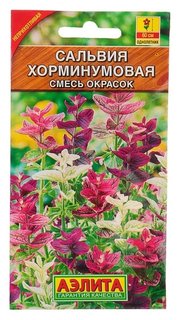 Семена цветов сальвия хорминумовая, смесь окрасок, О, 0,3 г Агрофирма Аэлита