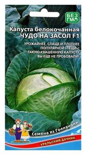 Семена капуста "Чудо на засол" F1 для квашения и засола,кочан до 4 кг, 0,3 г Уральский дачник