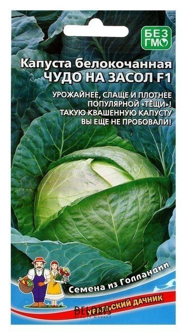 Семена капуста Чудо на засол F1 для квашения и засола,кочан до 4 кг, 0,3 г Уральский дачник