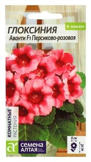 Семена комнатных цветов глоксиния "Аванти" персиково-розовая F1, Мн, цп, 8 шт. Семена Алтая