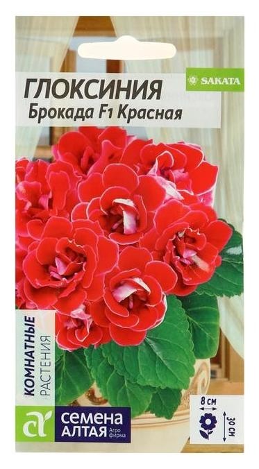 

Семена комнатных цветов глоксиния "Брокада" красная F1, цп, 8 шт., Красный