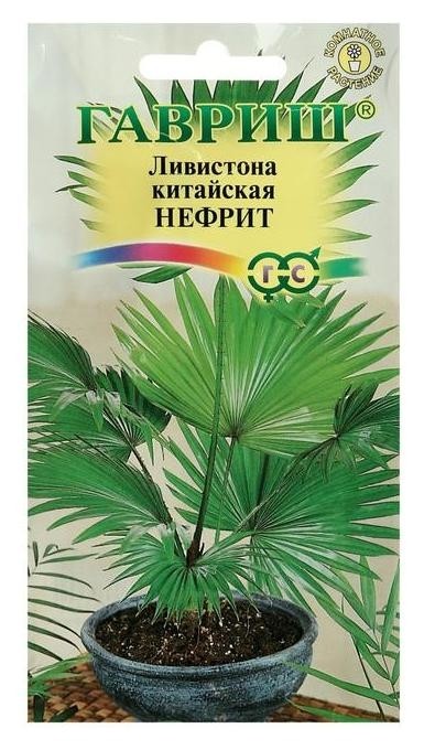 

Семена комнатных цветов ливистона китайская "Нефрит", мн., 3 шт., Зелёный