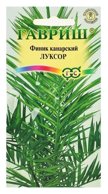 

Семена комнатных цветов финик канарский "Луксор", мн., 2 шт., Зелёный