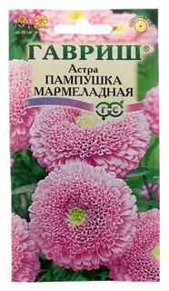 Семена цветов астра пампушка мармеладная, помпонная, розовая, О, 0,3 г Гавриш