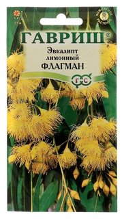 Семена комнатных цветов эвкалипт лимонный "Флагман", Мн, 0,05 г Гавриш