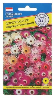 Семена цветов доротеантус маргаритковый смесь, О, 0,1 г Престиж семена