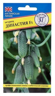 Семена огурец "Династия" F1, ультраранний, партенокарпический, 7 шт Престиж семена