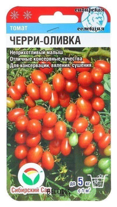 Семена томат Черри-оливка, раннеспелый, 20 шт Сибирский сад