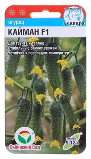 Семена огурец "Кайман" F1, раннеспелый, 7 шт Сибирский сад