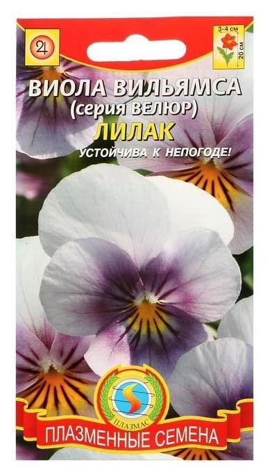 

Семена цветов виола вильямса "Лилак", серия велюр, Разноцветный