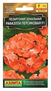 Семена пеларгония рафаэлла F1 персиковая, 5 шт Агрофирма Аэлита