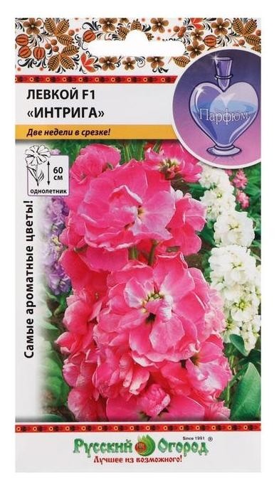 

Семена цветов левкой "Интрига", F1, высокорослая, смесь, 30 шт, Микс
