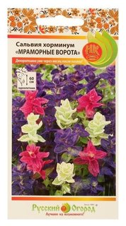 Семена цветов сальвия хорминум "Мраморные ворота", смесь, 30 шт Русский огород