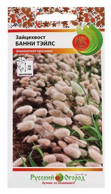

Семена цветов зайцехвост «Банни тэйлс», 50 шт (10 шт.), Белый
