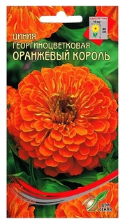 Семена цветов циния георгиноцветковая "Оранжевый король" Дом семян, О, 35 шт Сортсемовощ