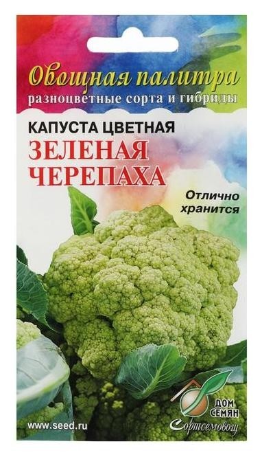 

Семена капуста цветная "Зелёная черепаха", 75 шт
