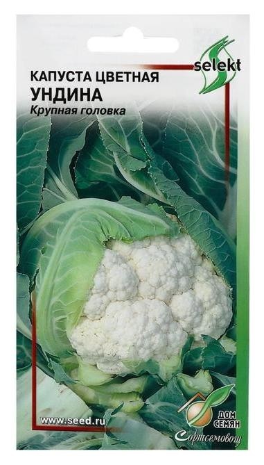 

Семена капуста цветная "Ундина", 70 шт