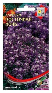 Семена цветов алиссум "Восточная ночь", 150 шт Сортсемовощ